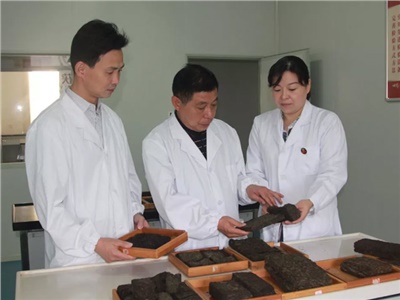 傳承茯茶非遺技藝、開拓創(chuàng)新引領(lǐng)行業(yè)發(fā)展